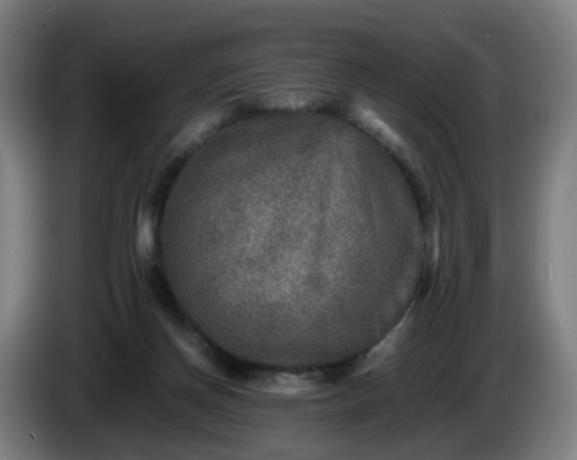 X0000086010166200703301018