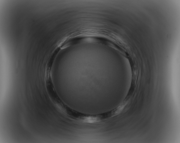 X0000086010168200703301018