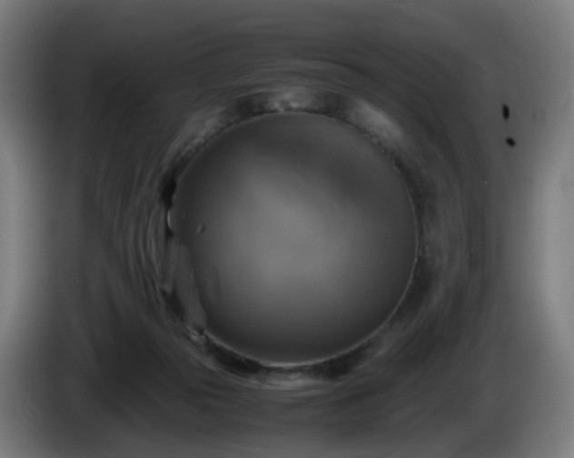 X0000086010169200703301018