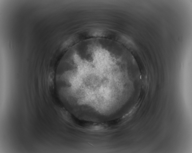 X0000086010175200703301018