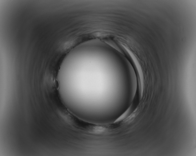 X0000086010176200703301018