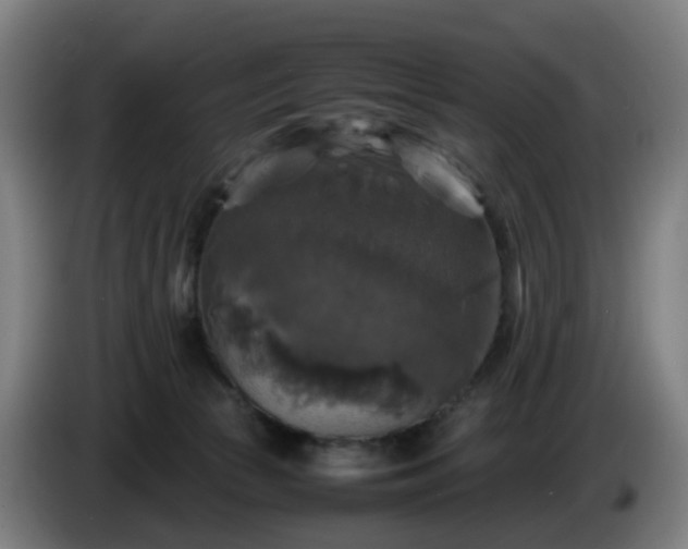 X0000086010177200703301018