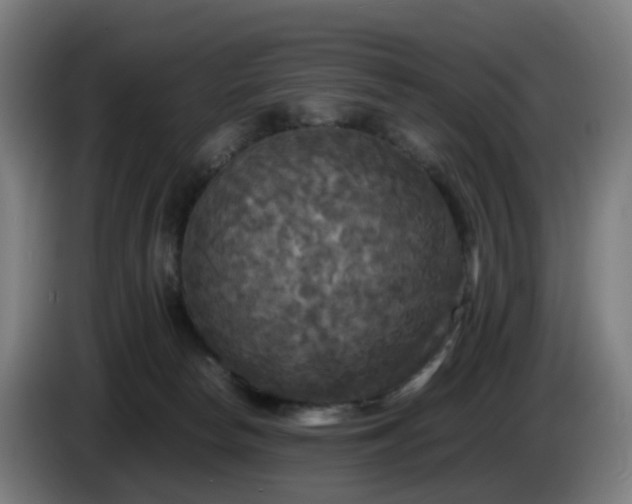 X0000086010178200703301018