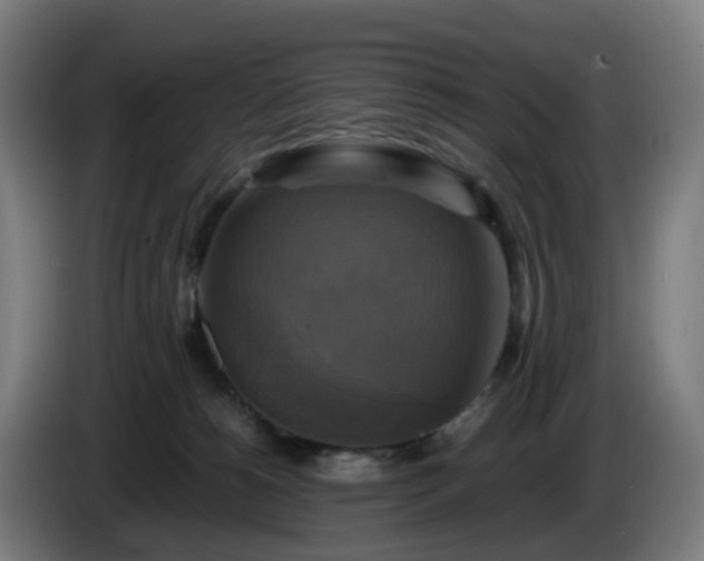 X0000086010180200703301018