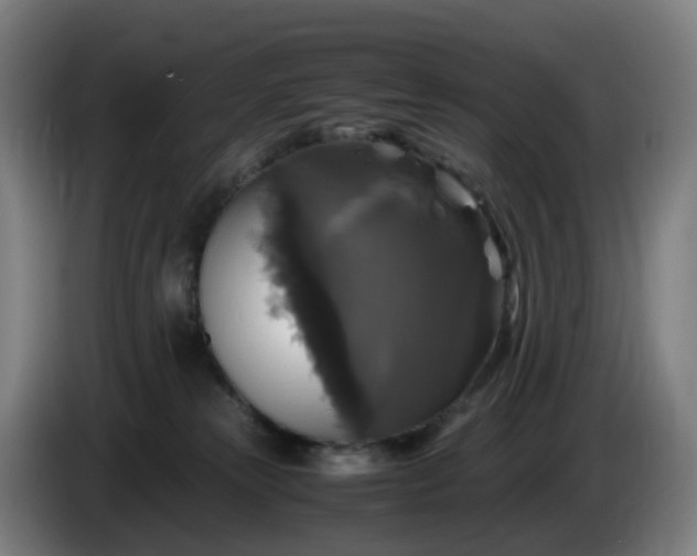 X0000086010181200703301018