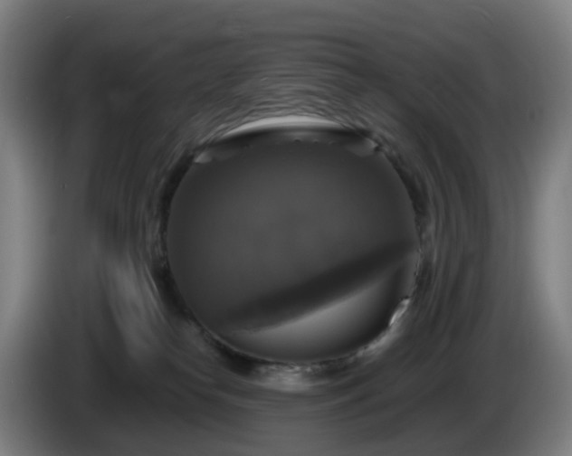 X0000086010182200703301018