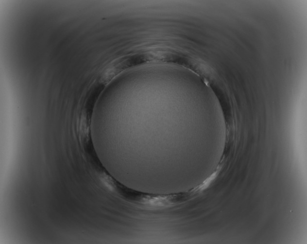X0000086010186200703301018