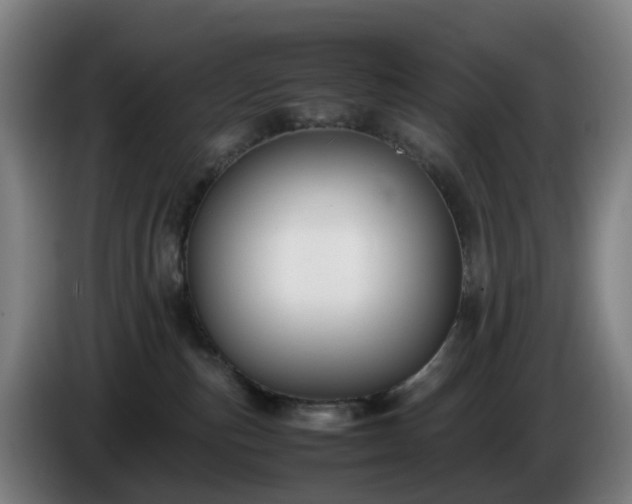 X0000086010187200703301018