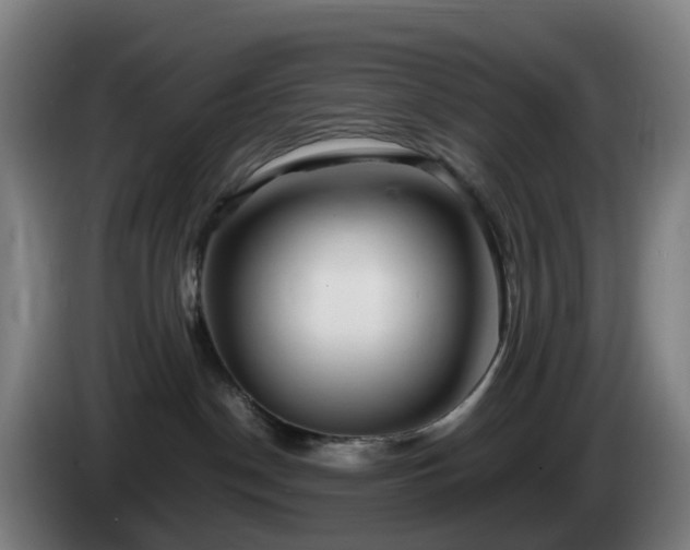 X0000086010190200703301018