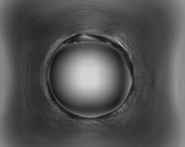 X0000086010193200703301018