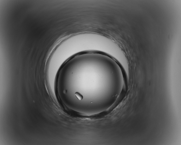 X0000086010195200703301018