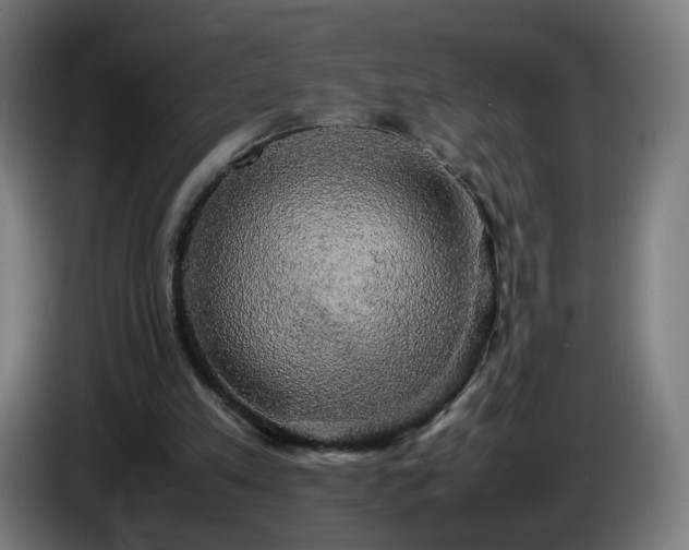 X0000086010197200703301018