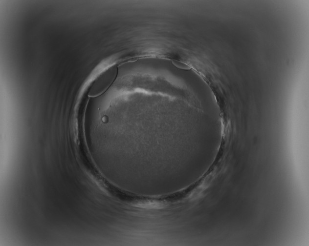 X0000086010198200703301017