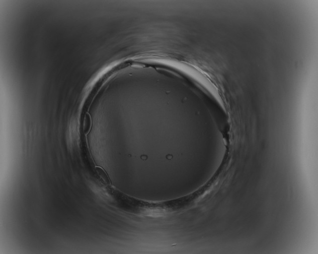X0000086010200200703301017