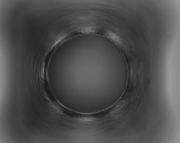 X0000086010202200703301017