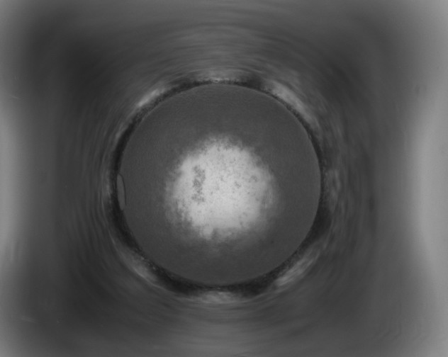 X0000086010203200703301017