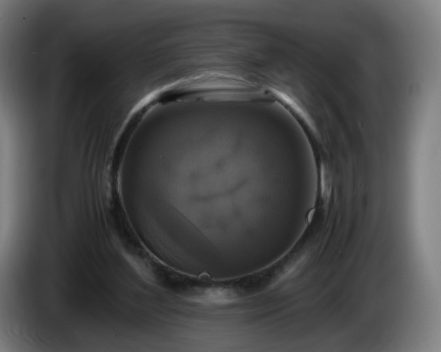 X0000086010204200703301017