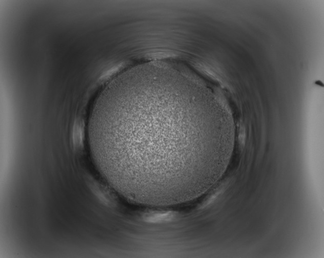X0000086010206200703301017