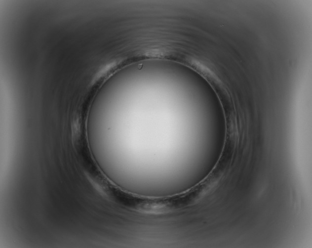 X0000086010208200703301017