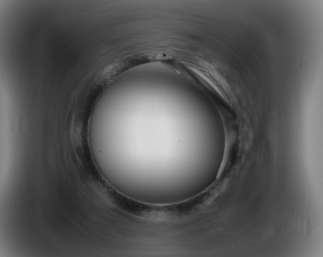 X0000086010209200703301017