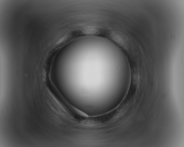 X0000086010211200703301017