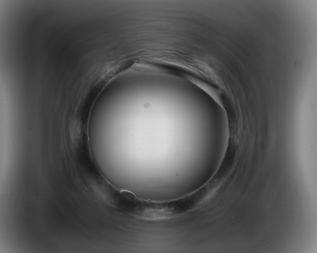 X0000086010213200703301017
