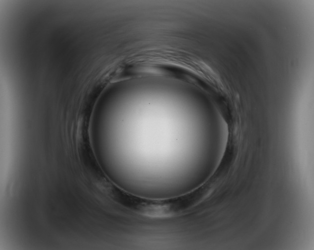 X0000086010217200703301017