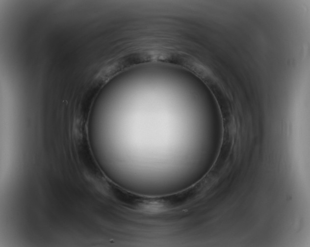 X0000086010218200703301017