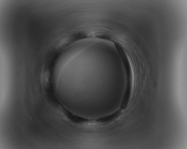 X0000086010219200703301017