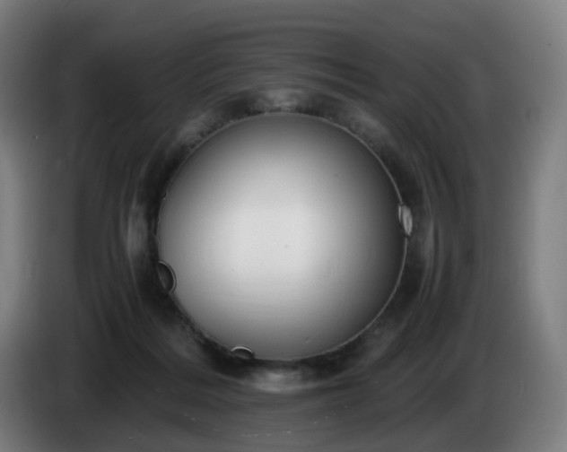 X0000086010220200703301017