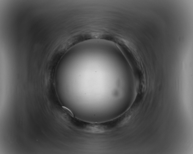 X0000086010221200703301017