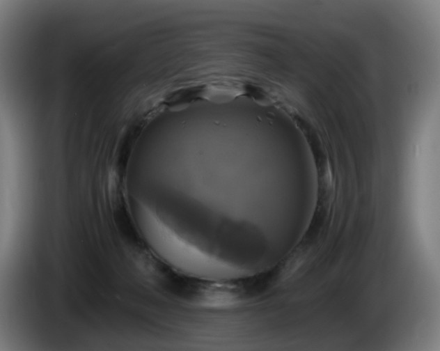 X0000086010222200703301017