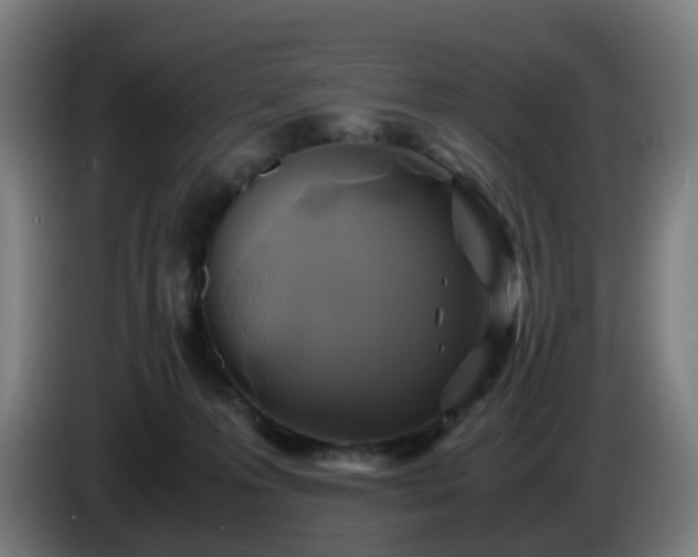 X0000086010223200703301017