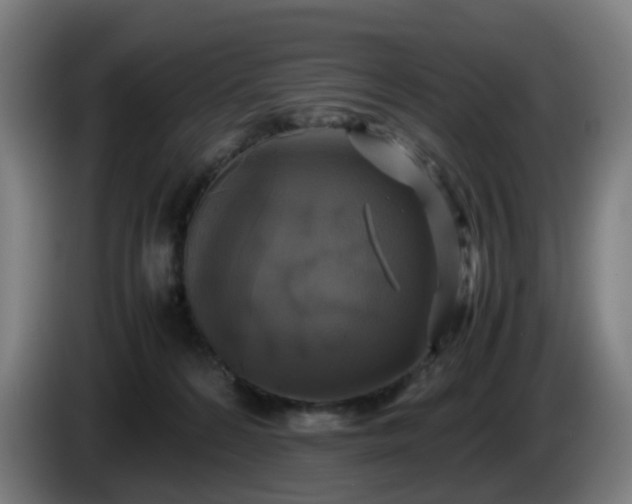 X0000086010224200703301017