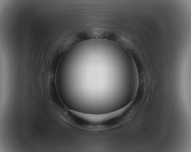 X0000086010225200703301017
