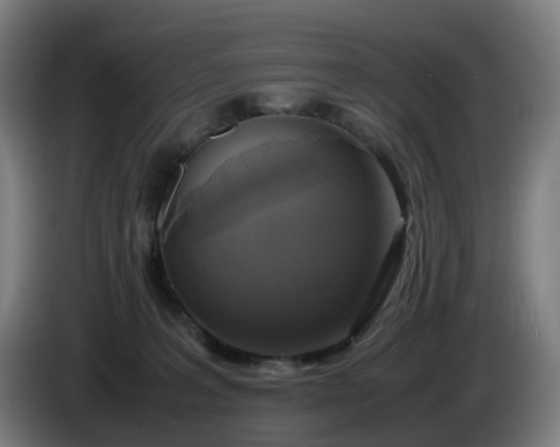 X0000086010227200703301017