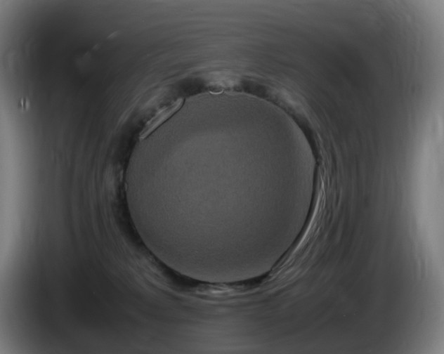 X0000086010229200703301017