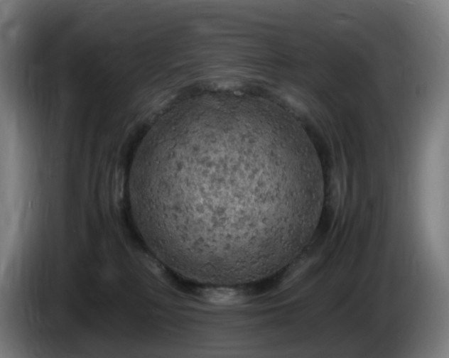 X0000086010230200703301017