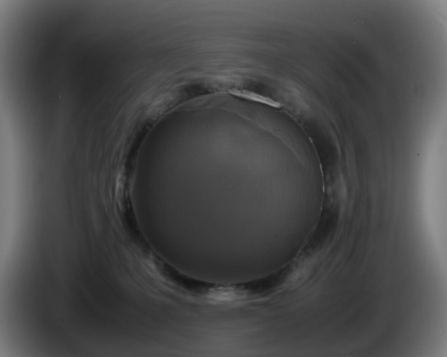 X0000086010231200703301017