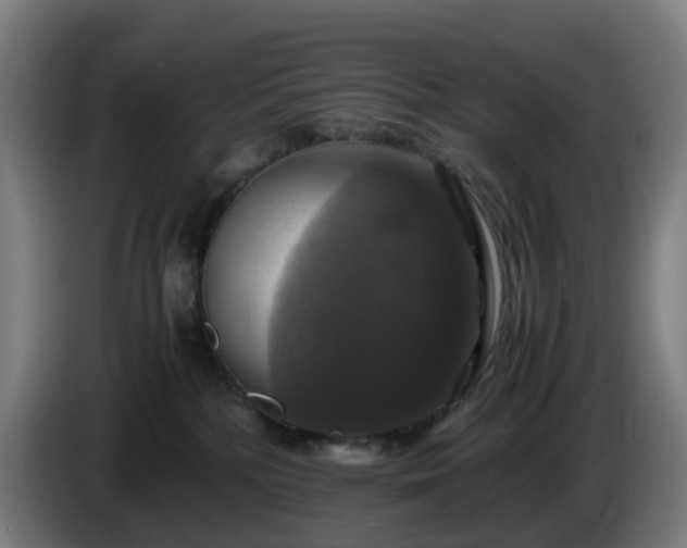 X0000086010232200703301017