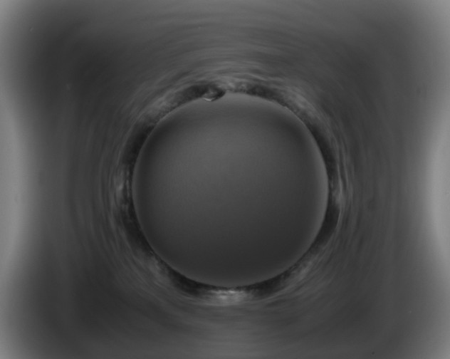 X0000086010233200703301017