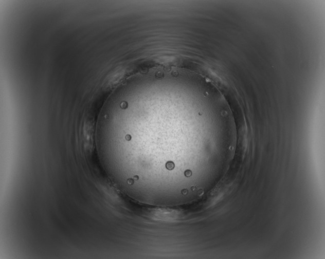 X0000086010234200703301017