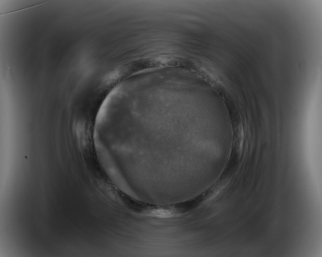 X0000086010236200703301017