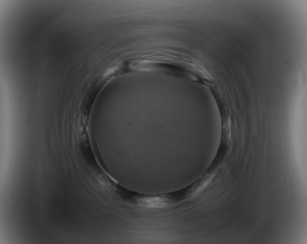X0000086010237200703301017