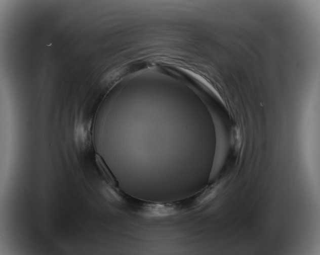 X0000086010239200703301017