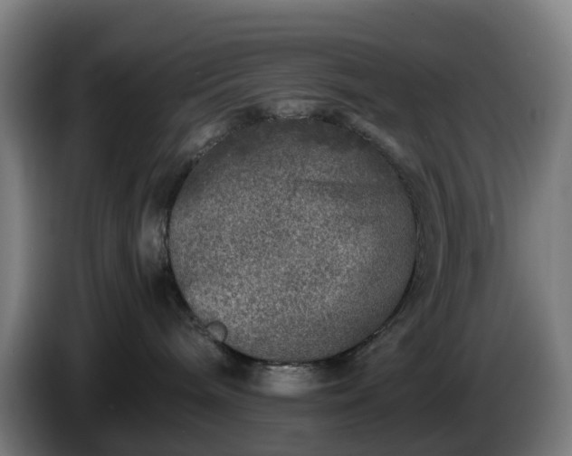 X0000086010240200703301017