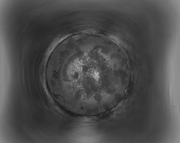 X0000086010241200703301016