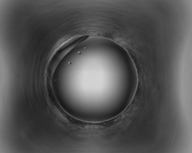 X0000086010242200703301016