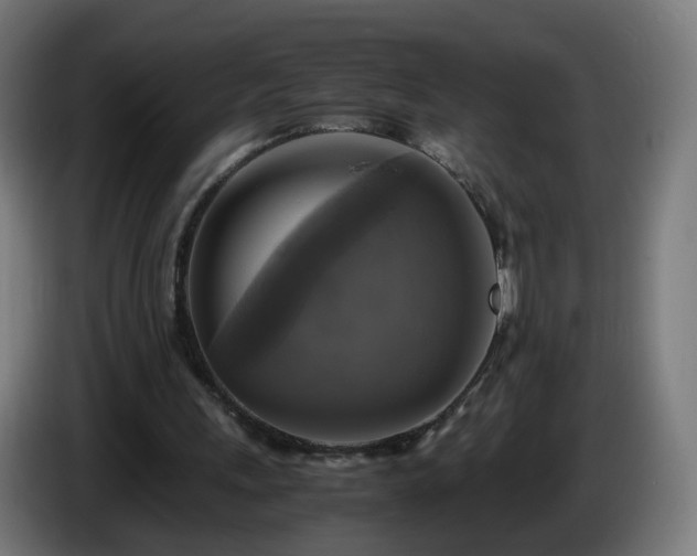X0000086010243200703301016