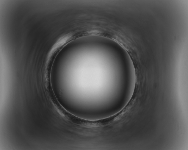 X0000086010245200703301016